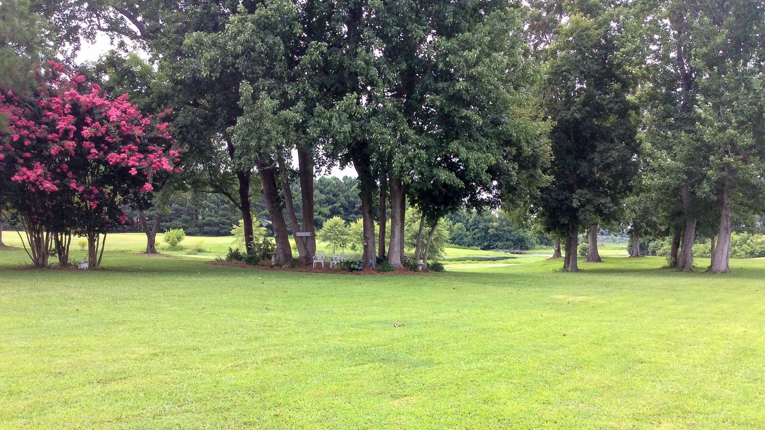The golf course grounds