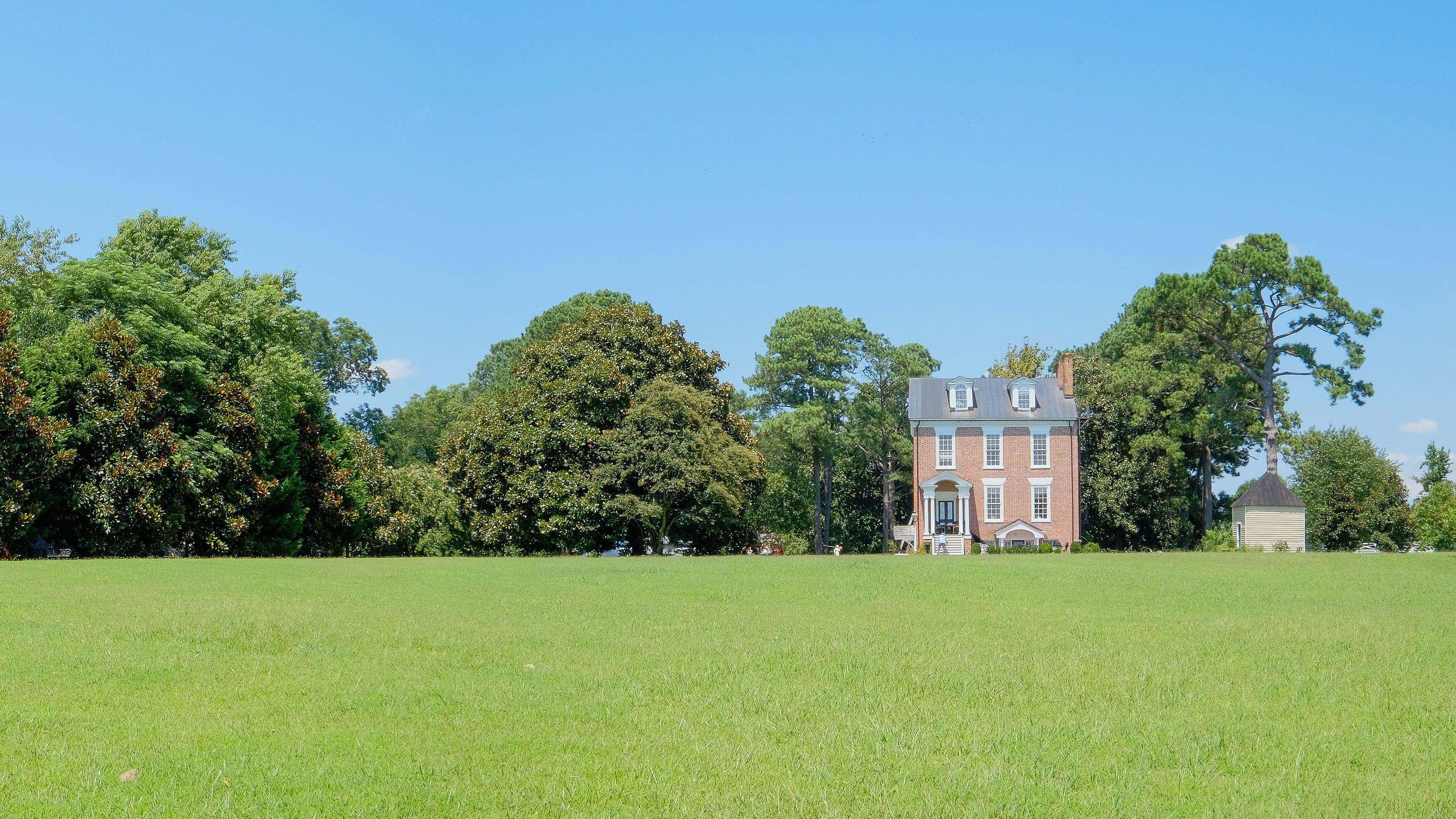The Mulberry Hill manor house surrounded by its old-growth trees